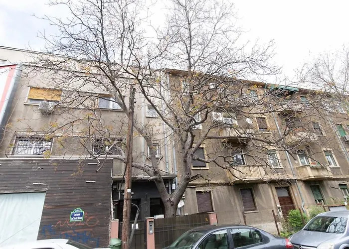 Nicole's Dorobanti *